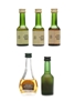 Calvados Miniatures  4cl & 4 x 3cl