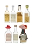 Tequila & Mezcal Miniatures Incl. Jose Cuervo & Sierra 7 x 5cl