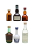 Orange Liqueur Miniatures Incl. Cointreau & Grand Marnier 2.5cl, 2 x 3cl & 3 x 5cl