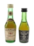 Camus Celebration Bottled 1970s 4.2cl & 5cl