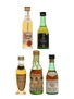 Assorted Brandy Asbach, Bobadilla, Fernando, Metaxa, Torres 5 x 3cl-5cl