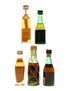 Assorted Brandy Asbach, Bobadilla, Fernando, Metaxa, Torres 5 x 3cl-5cl