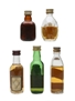 12 Year Old Blended Scotch Whiskies Assorted Miniatures 5 x 5cl