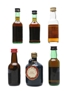 Port & Sherry Miniatures Incl. Dow's & Sandeman 10cl & 5 x 5cl