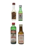 Herbal Spirits & Liqueurs Assorted Miniatures 5cl, 4cl, 3cl, & 2cl