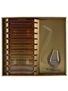 Alcotricine The Five Cures Against Depression Ampoules Tasting Set With Port Pipe Glass - Spanish Edition 10 x 2cl / 40%