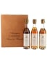 Carrere Armagnac Collection Set 10, 20 & 30 Year Old 3 x 20cl / 40%