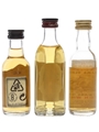 Chivas Regal, Grant's & The Massacre Deluxe  3 x 5cl / 40%