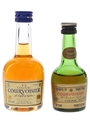 Courvoisier 3 Star VS & VSOP  3cl & 5cl / 40%
