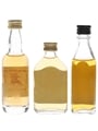Champion, Double V, Winner Black Label Ifadi, Hiram Walker & Campeny 3 x 5cl / 40%