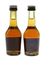 Martell 3 Star VS  2 x 5cl / 40%