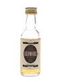Ardmore 1977 Bottled 1990s - Gordon & MacPhail 5cl / 40%