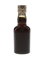 Gordon's Sloe Gin Spring Cap Bottled 1950s 5cl / 26%