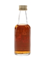 Wild Turkey Rye 101 Proof Bottled 1990s 5cl / 50.5%