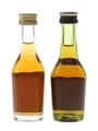 Hine 3 Star & Martell 3 Star VS Bottled 1980s 2 x 3cl / 40%