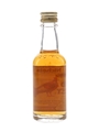 Wild Turkey 8 Year Old 101 Proof Bottled 1990s 5cl / 50.5%