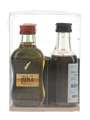 Classic Malt Collection Benriach, Glen Grant, Glenlivet, Isle Of Jura 4 x 5cl