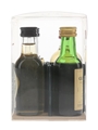 Classic Malt Collection Benriach, Glen Grant, Glenlivet, Isle Of Jura 4 x 5cl
