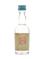 Chartreuse Anisette Bottled 1970s - Tarragona 5cl / 22%