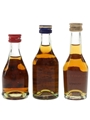 Bisquit 3 Star & Martell  3 x 3cl-5cl / 40%