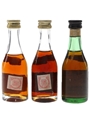 Don Juan & Torres Brandy  3 x 4cl / 40%