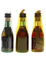 Torres 10 Year Old & Hors D'Age  3 x 4.2cl-4.6cl