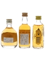 Nikka Gold & Gold and Suntory Kakubin  3 x 5cl