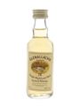 Glenallachie 12 Year Old Bottled 1980s 5cl / 40%