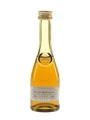 Janneau VSOP Grand Armagnac  5cl / 40%