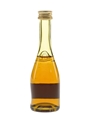 Janneau VSOP Grand Armagnac  5cl / 40%