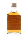 Macallan Glenlivet 15 Year Old Bottled 1960s - Donini 4cl / 43%
