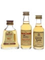 Bell's, Pig's Nose & Queen Anne Bottled 1980s 3 x 5cl