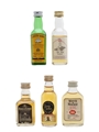 Assorted Blends Cutty Sark, Forth Bridge, House Of Lords, Long John & Whyte & Mackay 5 x 5cl / 40%