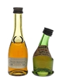 Janneau VSOP & Saint Vivant  3cl-5cl / 40%