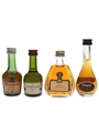 Assorted Cognac  4 x 3cl-5cl