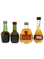 Assorted Cognac  4 x 3cl-5cl