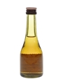 Balvenie 10 Year Old Founder's Reserve Bottled 1980s 5cl / 40%