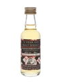 Glentauchers 11 Year Old Bottled 1985 - The Dram Good Whisky Co. Ltd. 5cl / 43%