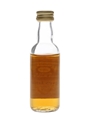Speyburn 1971 Connoisseurs Choice Bottled 1980s - Gordon & MacPhail 5cl / 40%