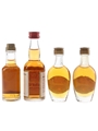 Buton, Girolamo Luxardo & Toschi Amaretto  3 x 2.8cl-5cl / 28%