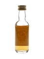 Ardbeg 1976 Connoisseurs Choice Bottled 1990s - Gordon & MacPhail 5cl / 40%