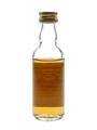 Ben Nevis 1965 Connoisseurs Choice Bottled 1980s - Gordon & MacPhail 5cl / 40%