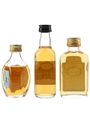 Assorted Blended Scotch Whisky Dimple, Grand Macnish, Macelod's Isle of Skye 3 x 5cl / 40%