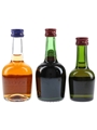 Courvoisier VS & 3 Star Luxe  3 x 3cl-5cl / 40%
