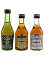 Camus & Martell Bottled 1970s 3 x 5cl / 40%