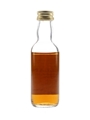 Macallan 12 Year Old Bottled 1990s - Berman Imports 5cl / 43%