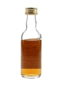 Craigellachie 1971 Connoisseurs Choice Bottled 1990s - Gordon & MacPhail 5cl / 40%