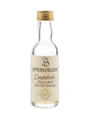 Springbank 50 Year Old Millennium Set 5cl