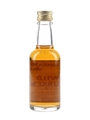 Wild Turkey Bottled 1990s - Austin Nichols 5cl / 43.4%