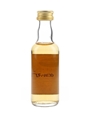 Old Pulteney 8 Year Old Bottled 1990s - Gordon & MacPhail 5cl / 40%